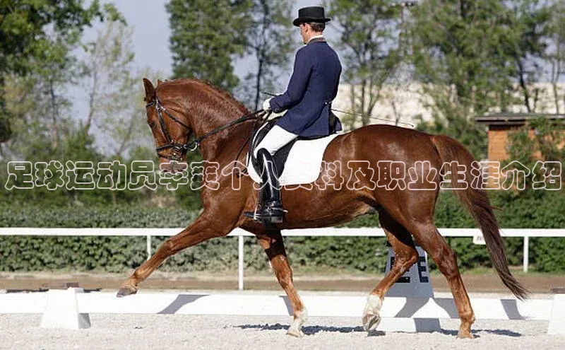 意昂2账号登录入口顺丰