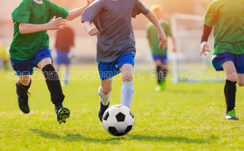 意昂2百度翻译App