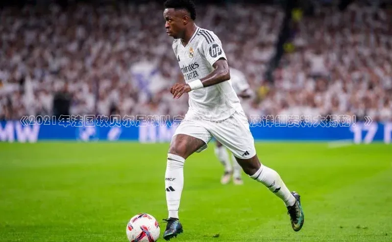 意昂2官网一径科技