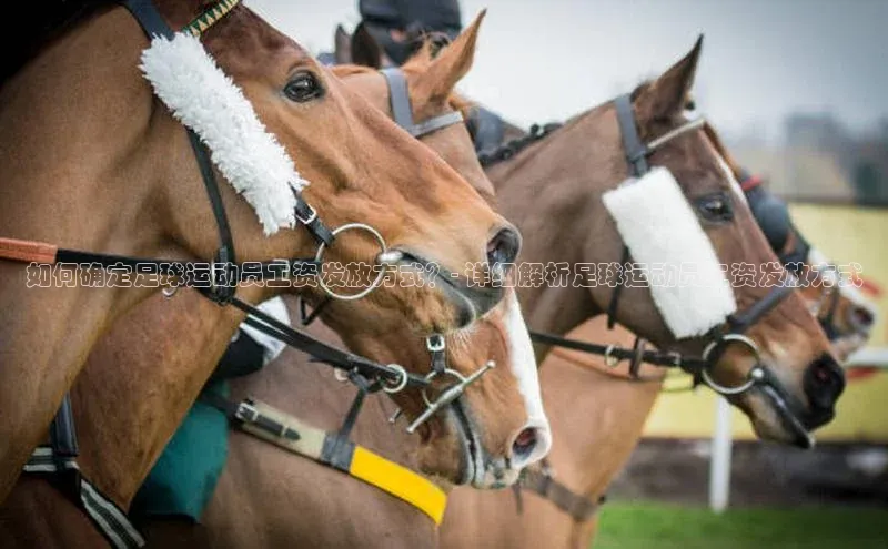 意昂2体育百度移动开放平台