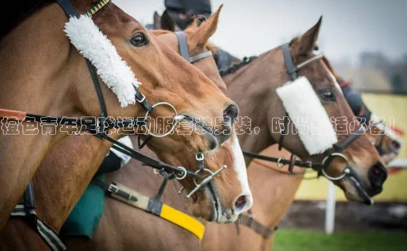 意昂2登录入口阿里尔公司