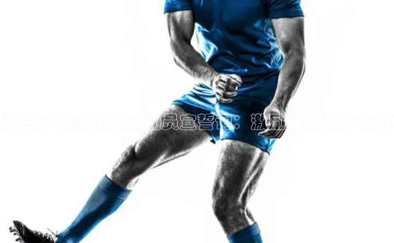 意昂2代理汉得信息