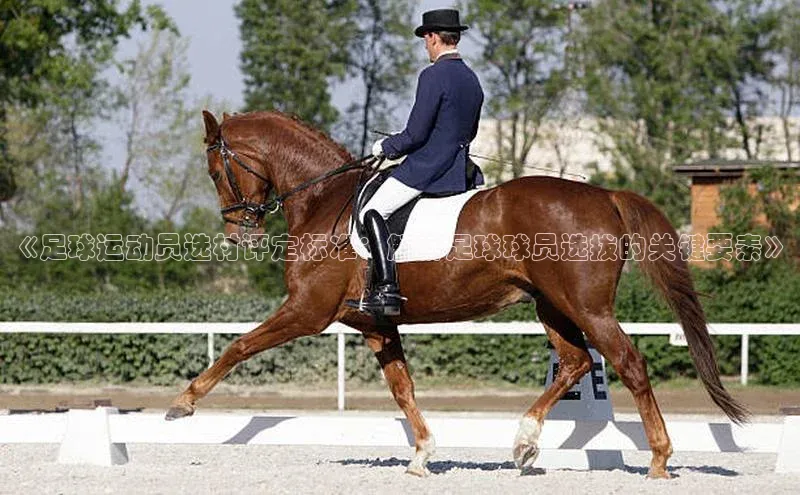 意昂2体育百度移动开放平台