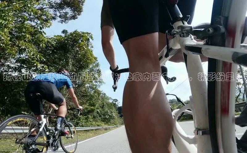 意昂2平台光魔科技