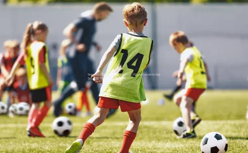 意昂2登录宇信科技